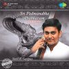 Download track Thillana - Dhanashri - Adi