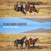 Download track Texas Ranger