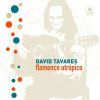 Download track Flamenco Utrópica