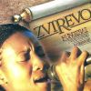 Download track Zvirevo