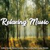 Download track Beautiful Relaxing For Stress Relief