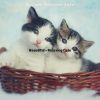 Download track Ambience (Sleeping Cats)