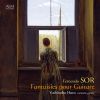 Download track Fantaisie Élégiaque, Op. 59: Introduction, Andante. Largo