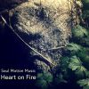 Download track Heart On Fire