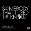 Download track Somebody That I Used To Know (Holy Deep Instrumental)