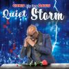 Download track Quiet Storm (Instrumental)