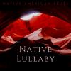 Download track Soothing Native American Music