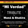 Download track Mi Verdad (In The Style Of Mana & Shakira) [Instrumental Version]