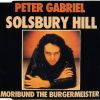 Download track Solsbury Hill Full Lenght Live Version