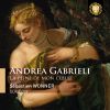 Download track Cantate Domino. Mottetto A 5 Voci Di Andrea Gabrieli (Prima Pars)