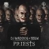 Download track Priests (Original Mix)