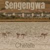 Download track Sengengwa (Mr Kalita)