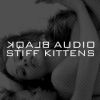 Download track Stiff Kittens (Jnrsnchz Blaqkout Instrumental)