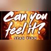 Download track Can You Feel It (Le Shuuk Remix)