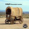 Download track Hajo (Extended Version)