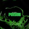 Download track Poison (Jumpin Jaxx Remix Edit)