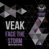 Download track Machine (Veak Remix)