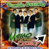 Download track Mariachi De Mi Tierra