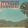 Download track Elephant Survival