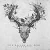 Download track The Wild Will Wait