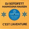 Download track C'Est L'Aventure (Dubplate Mix)