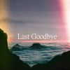 Download track Last Goodbye