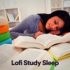 Download track Sleep With Lofi Beats