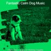 Download track Contemporary Ambiance For Cute Dogs