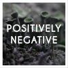 Download track Positively Negative