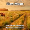Download track Calming Zen Music For Tinnitus