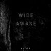 Download track Wide Awake