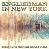 Download track Englishman In New York (Instrumental)