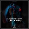 Download track Sexy Lady (Radio Edit)