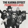 Download track Promised Land