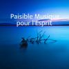 Download track Relaxation Nocturne Pour L'Esprit