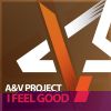 Download track I Feel Good