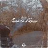 Download track Passos Firmes