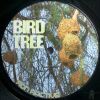 Download track Bird Tree (Fly With Mix)