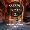 Download track Windy Canyon Echoes, Pt. 5