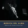 Download track Notas En El Alma