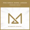 Download track Spanish Gold (Original Mix)