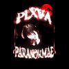 Download track PARANORMAL (Speed Up)