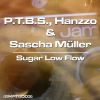 Download track Sugar Low Flow (Sascha Müller Ambient Remix)