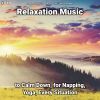 Download track Relaxation Music, Pt. 8