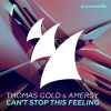 Download track Cant Stop This Feeling (Extended Mix)