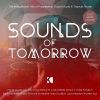 Download track Sounds Of Tomorrow Mix 1 By DJ FlyBeat