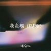 Download track 夜色摇 (Dj版伴奏)