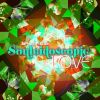 Download track Souleidoscopic Love (Remix)