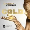 Download track Gold (The Cube Guys Dub)