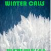 Download track When Winter Calls